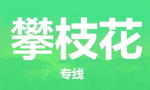 清远到攀枝花物流专线-清远到攀枝花货运-大件运输-铭龙物流
