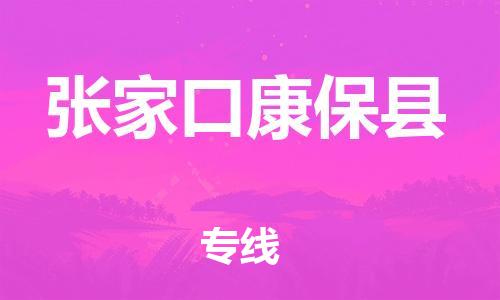 广州到张家口康保县电动车行李托运|广州到张家口康保县摩托车邮寄物流到家
