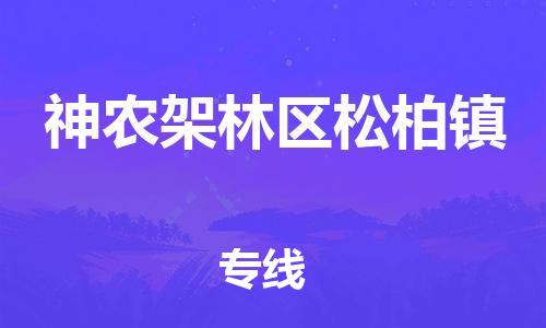 广州到神农架林区松柏镇电动车行李托运|广州到神农架林区松柏镇摩托车邮寄物流到家