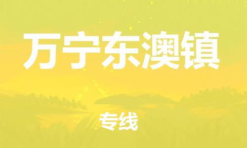 佛山到万宁东澳镇电动车邮寄|佛山到万宁东澳镇摩托车托运不拆电池也可以物流了