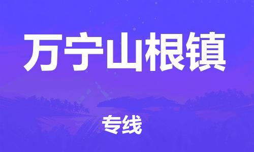 广州到万宁山根镇电动车行李托运|广州到万宁山根镇摩托车邮寄物流到家