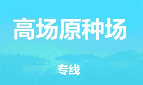 惠东县到高场原种场物流专线-惠东县到高场原种场货运-货运公司