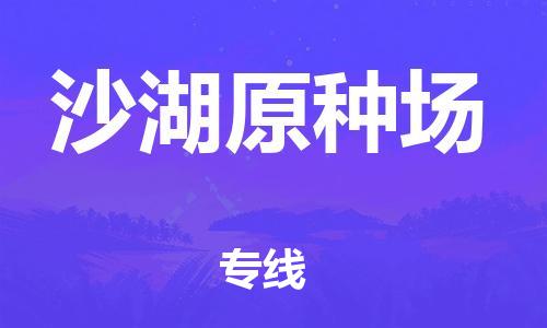 新丰县到沙湖原种场物流专线-沙湖原种场到新丰县货运-货运公司