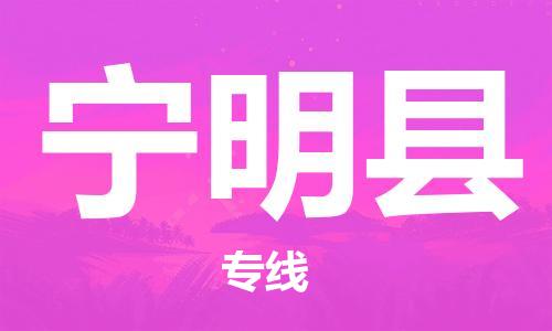 惠东县到宁明县物流专线-惠东县至宁明县货运-