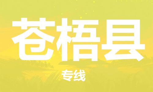 惠东县到苍梧县物流专线-惠东县至苍梧县货运-实力强