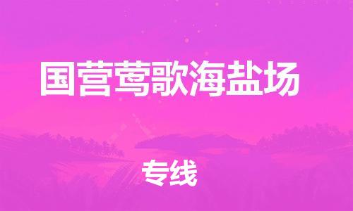 惠东县到国营莺歌海盐场物流专线-惠东县至国营莺歌海盐场货运快速的方案