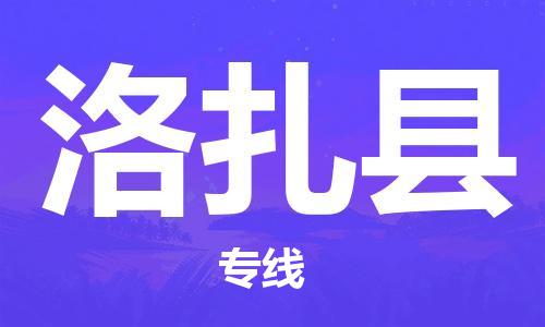 新丰县到洛扎县物流专线-新丰县到洛扎县货运-经验丰富